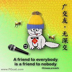 A friend to everybody is a friend to nobody | 广交友，无深交