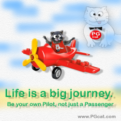 Life is a big journey. Be your own Pilot, not just a Passenger
